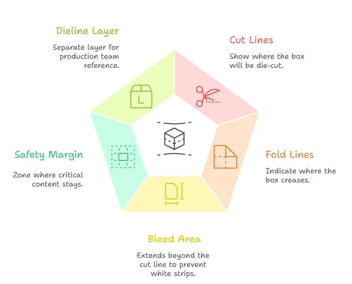 Dieline in Packaging